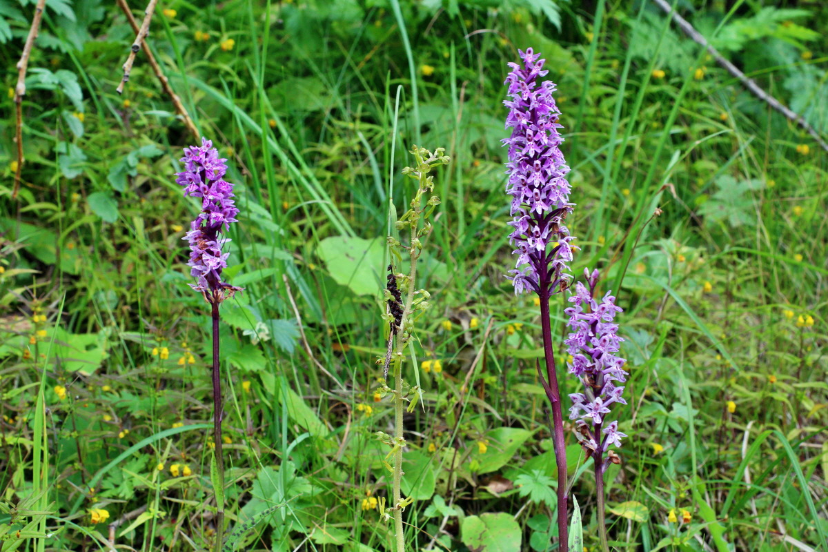 2014_07_20_00002983p_Bildgr��e �ndern