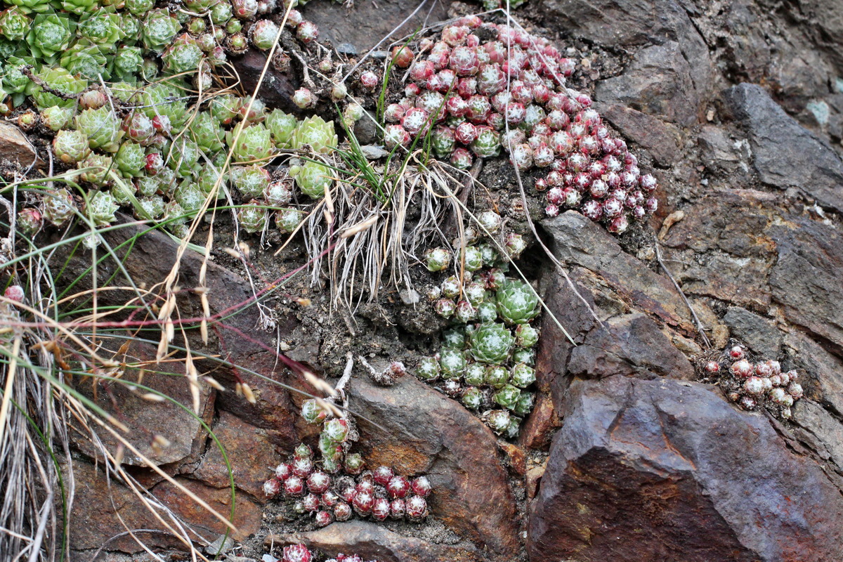 2014_07_20_00003023p_Bildgr��e �ndern