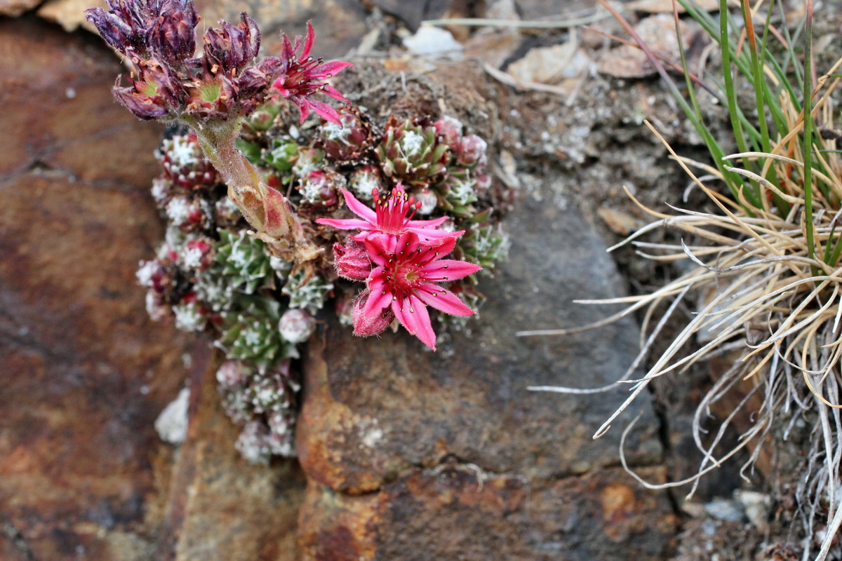 2014_07_20_00003027p_Bildgr��e �ndern