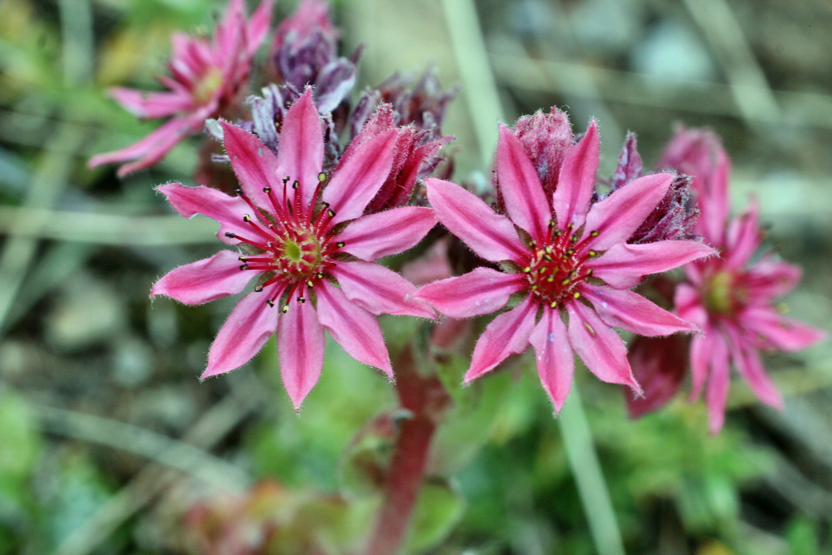 2014_07_20_00003028p_Bildgr��e �ndern