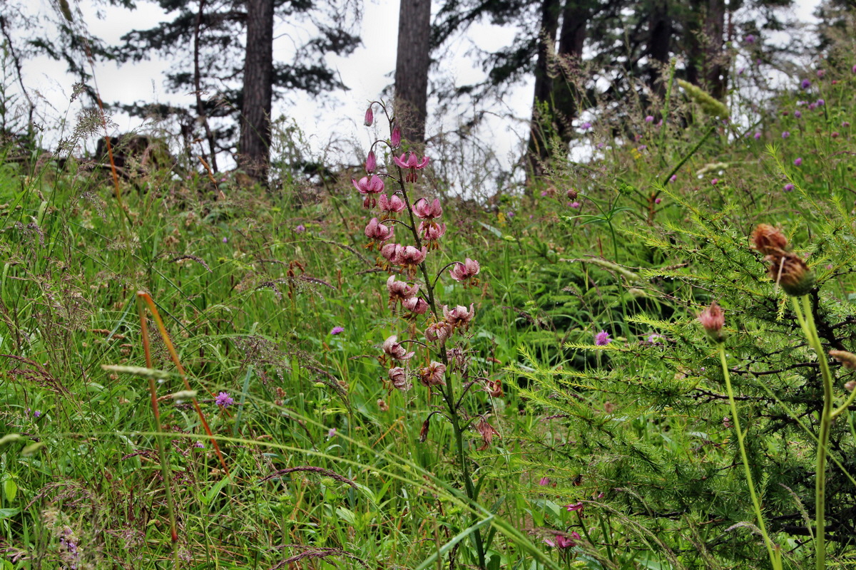 2014_07_21_00003040p_Bildgr��e �ndern