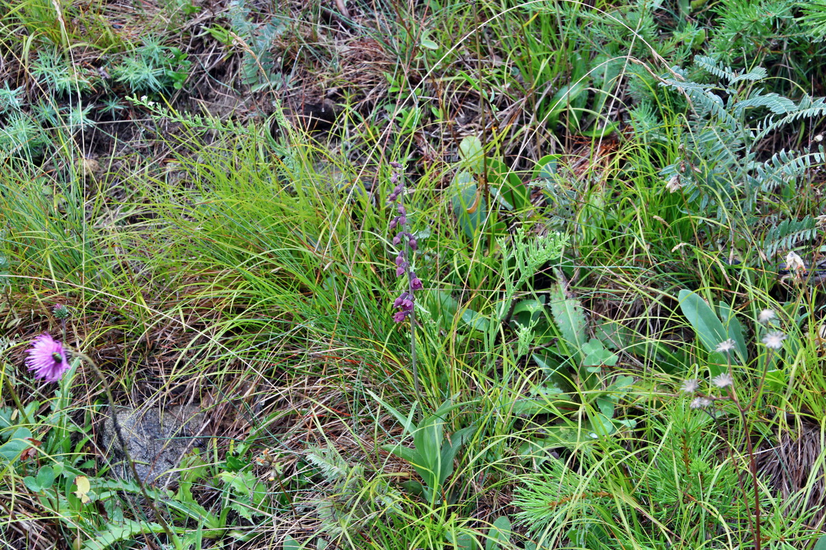 2014_07_21_00003053p_Bildgr��e �ndern