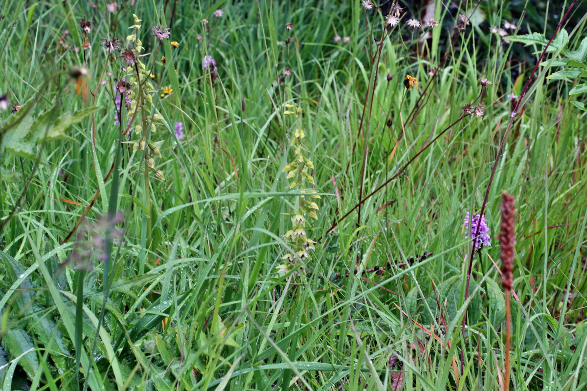 2014_07_21_00003062p_Bildgr��e �ndern