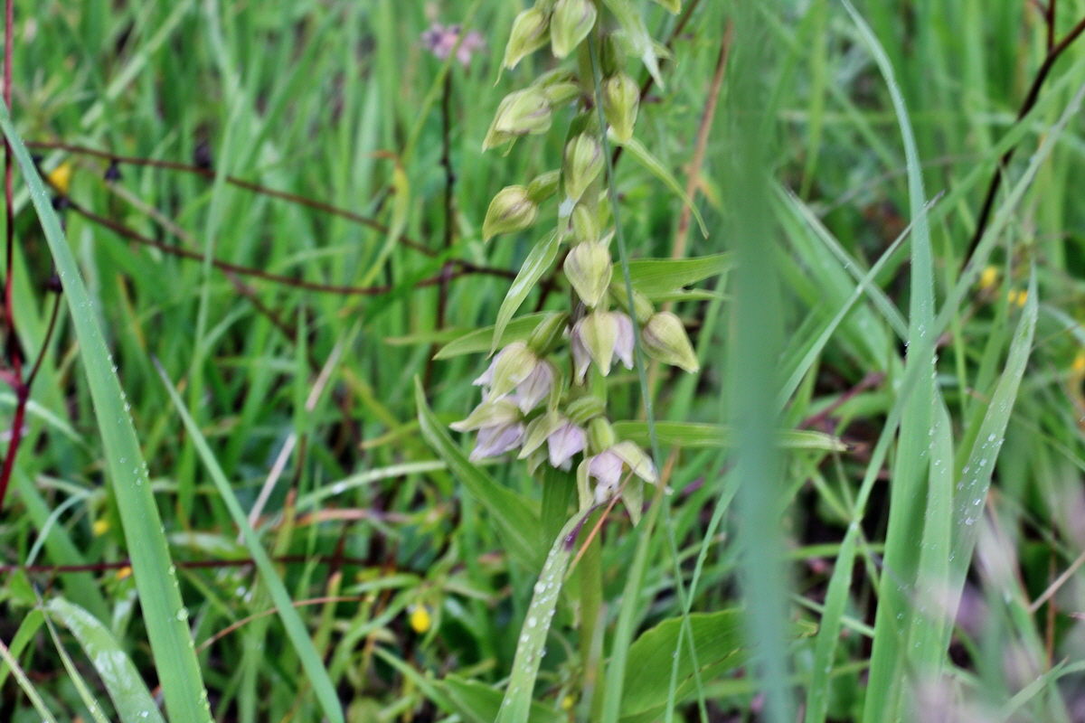 2014_07_21_00003066p_Bildgr��e �ndern