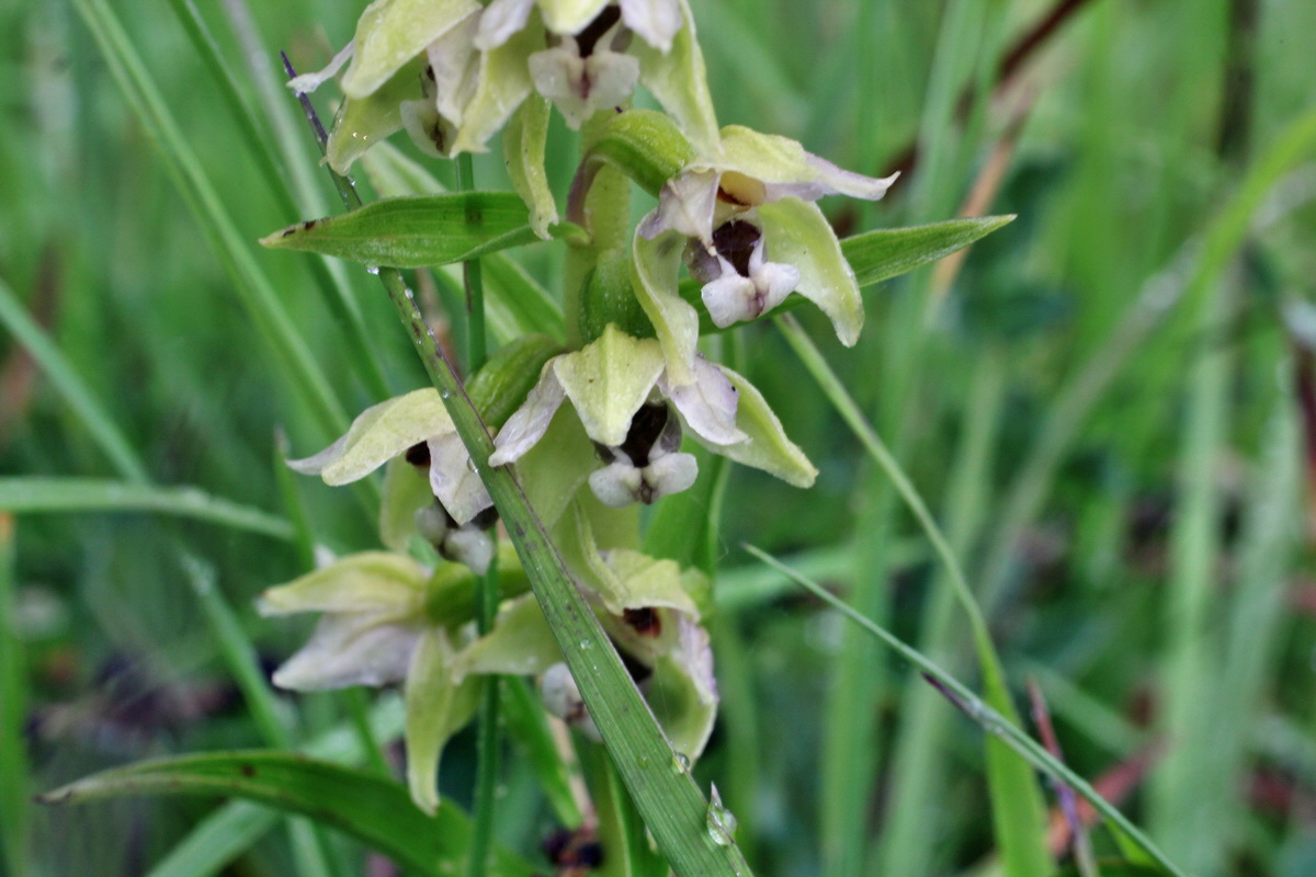 2014_07_21_00003073p_Bildgr��e �ndern