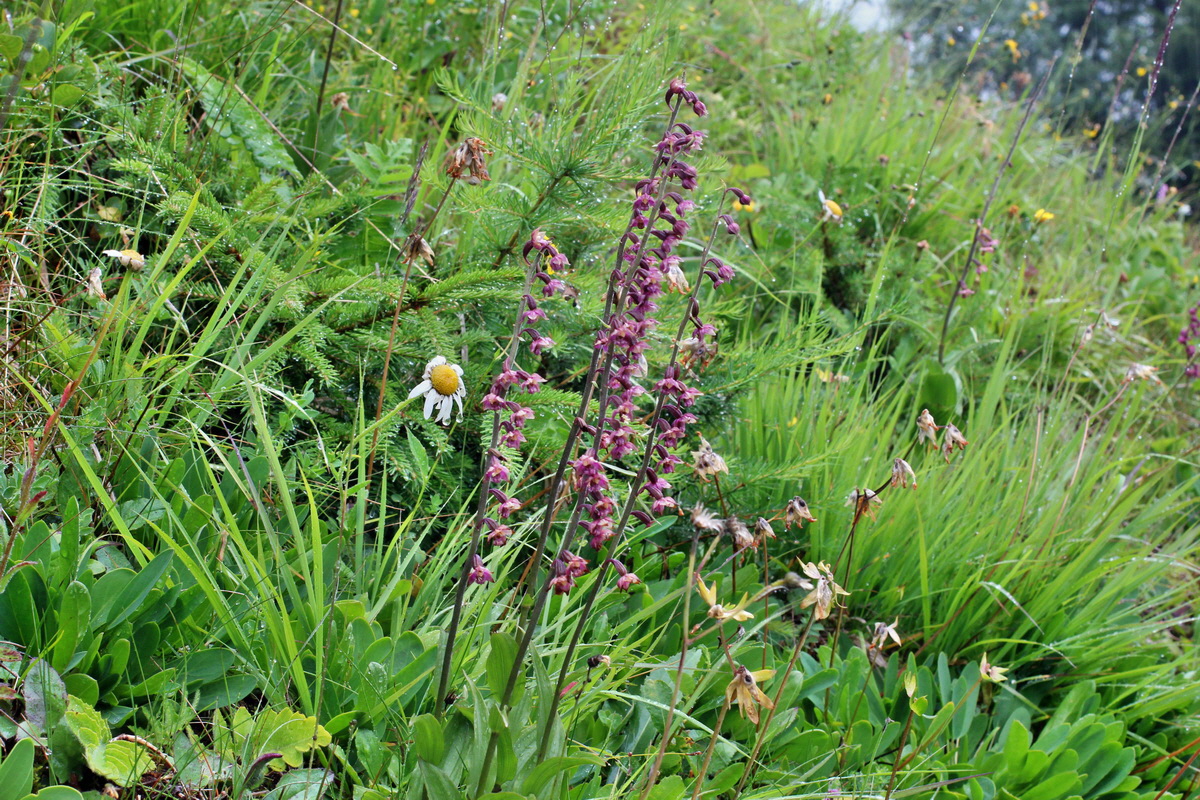 2014_07_21_00003079p_Bildgr��e �ndern