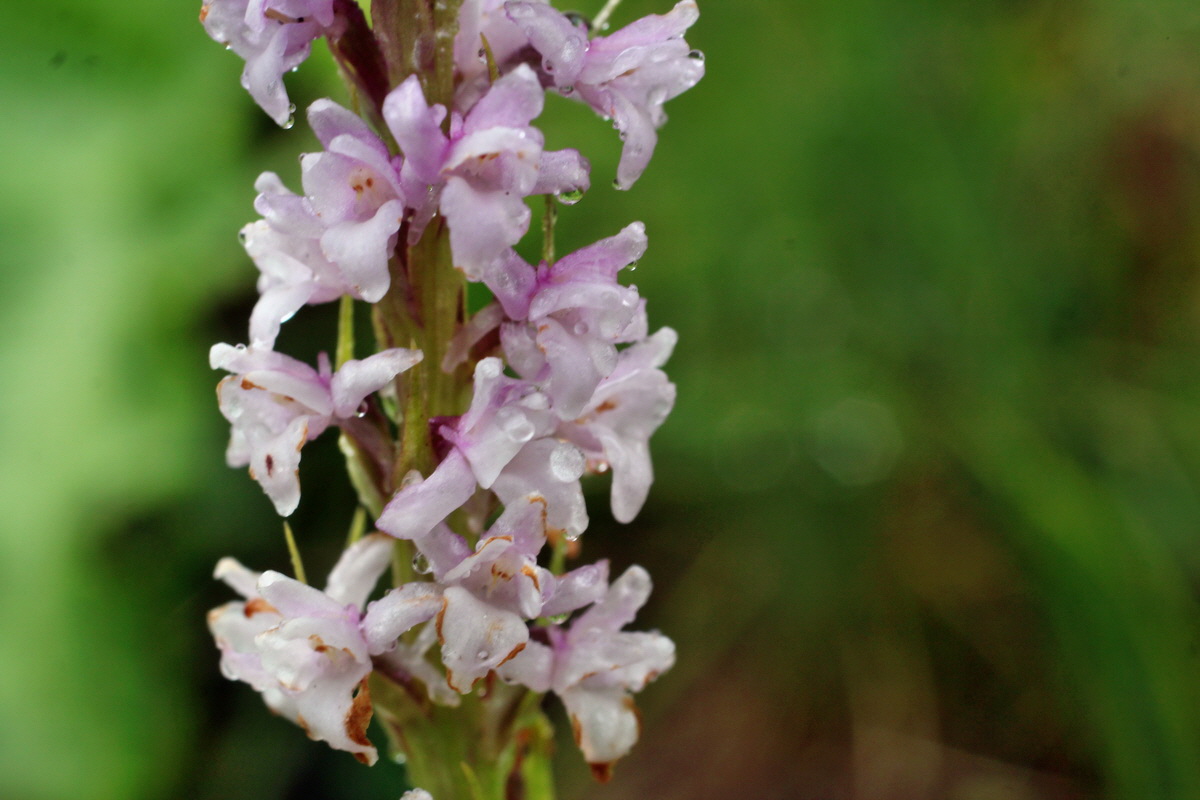 2014_07_21_00003090p_Bildgr��e �ndern