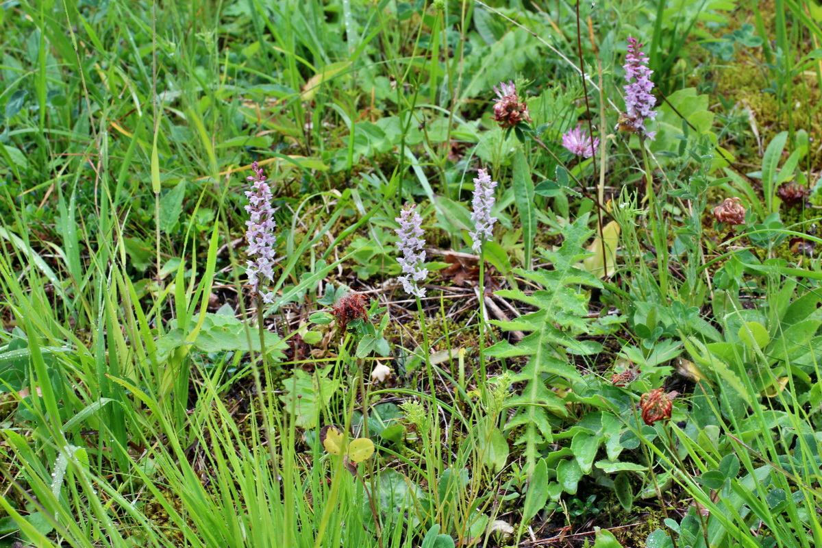 2014_07_21_00003096p_Bildgr��e �ndern