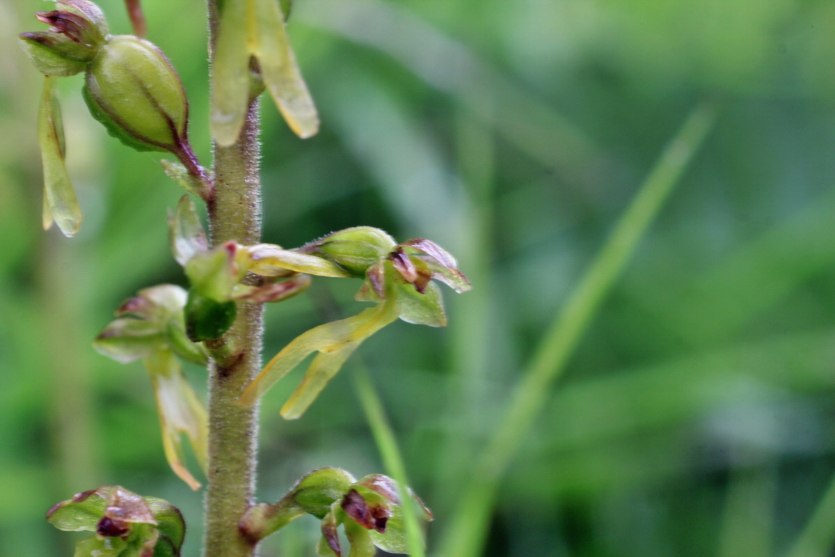 2014_07_21_00003098p_Bildgr��e �ndern