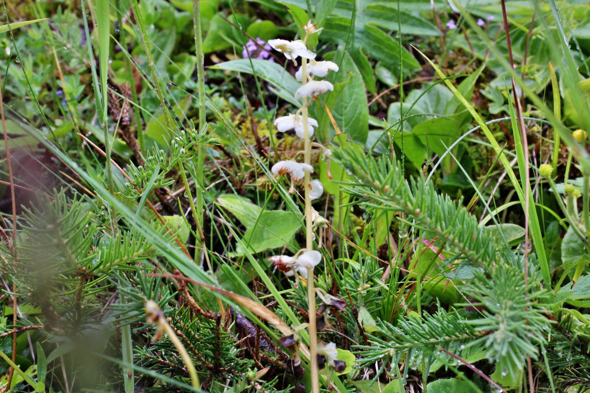 2014_07_21_00003116p_Bildgr��e �ndern