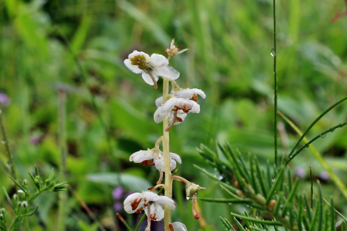 2014_07_21_00003119p_Bildgr��e �ndern