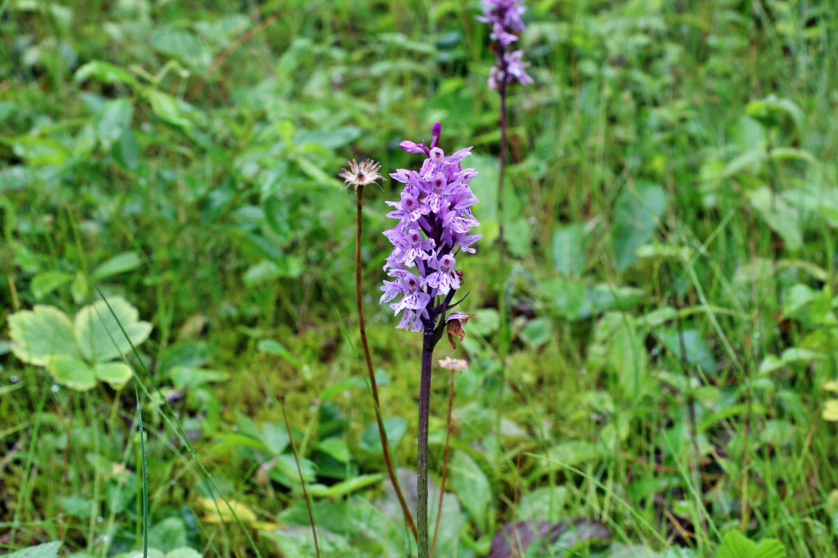 2014_07_21_00003126p_Bildgr��e �ndern