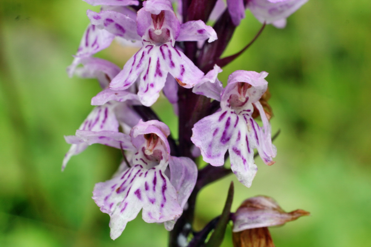 2014_07_21_00003136p_Bildgr��e �ndern