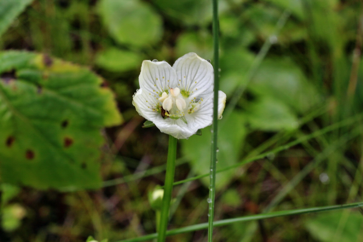 2014_07_21_00003140p_Bildgr��e �ndern