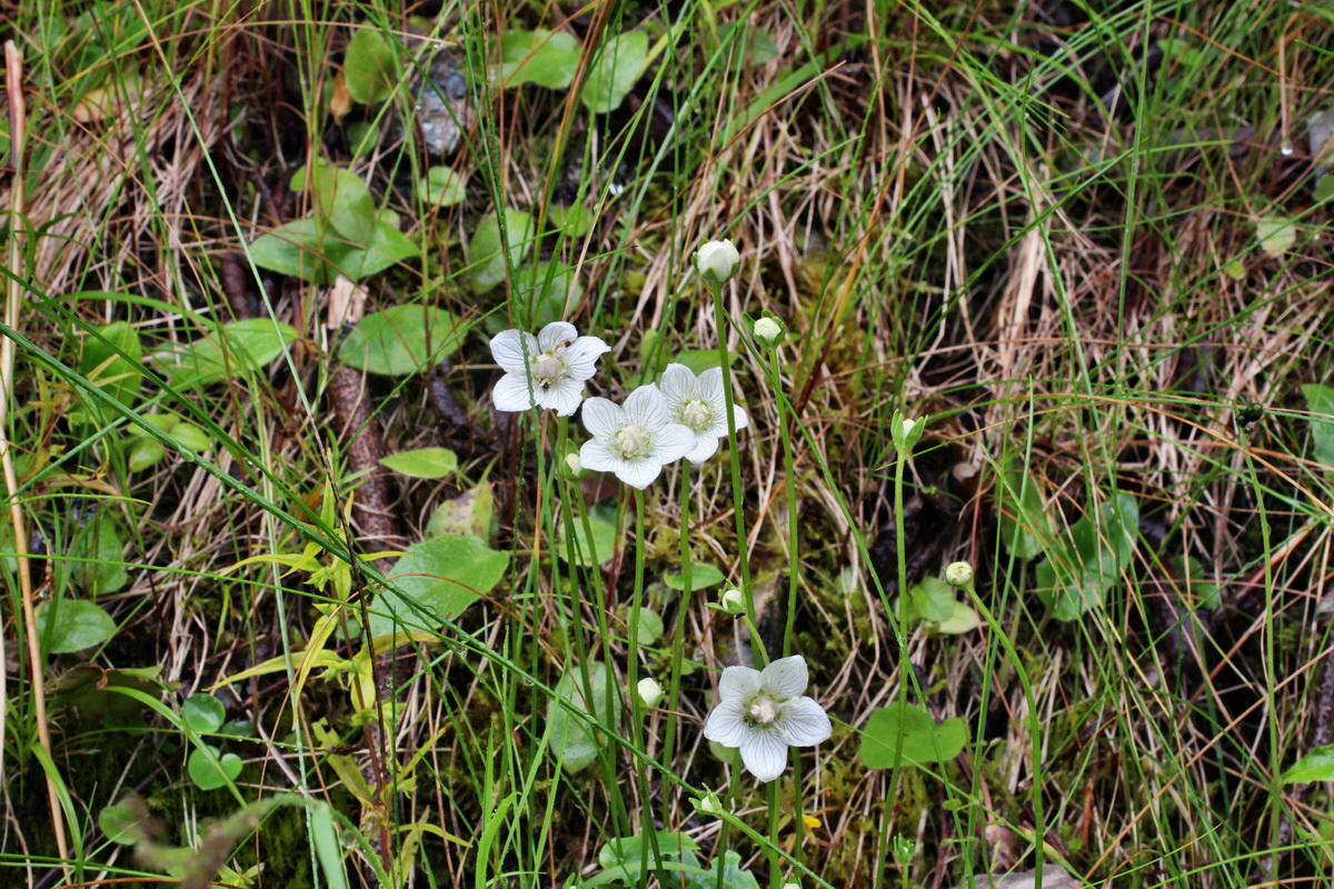 2014_07_21_00003148p_Bildgr��e �ndern