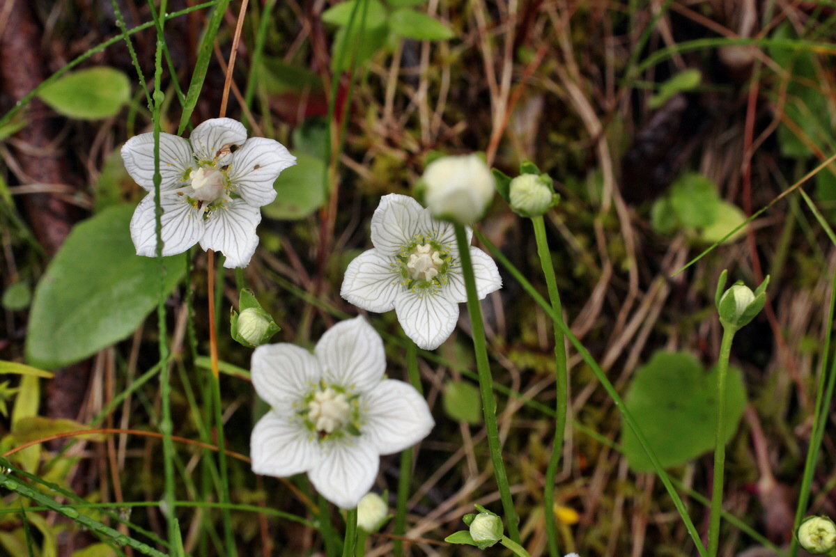 2014_07_21_00003150p_Bildgr��e �ndern