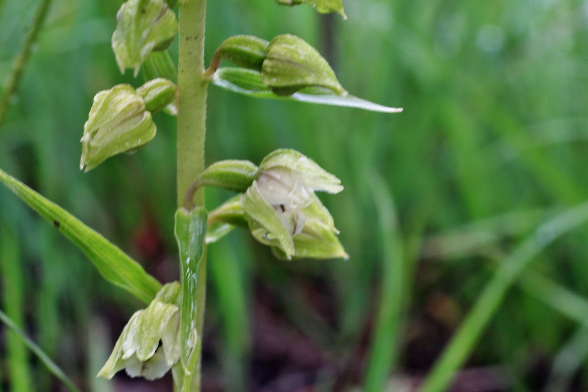 2014_07_21_00003153p_Bildgr��e �ndern