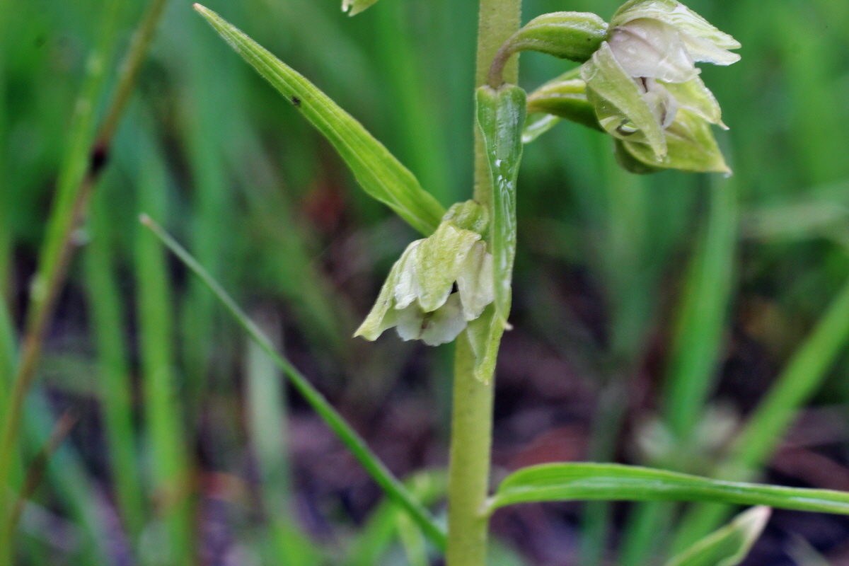 2014_07_21_00003155p_Bildgr��e �ndern