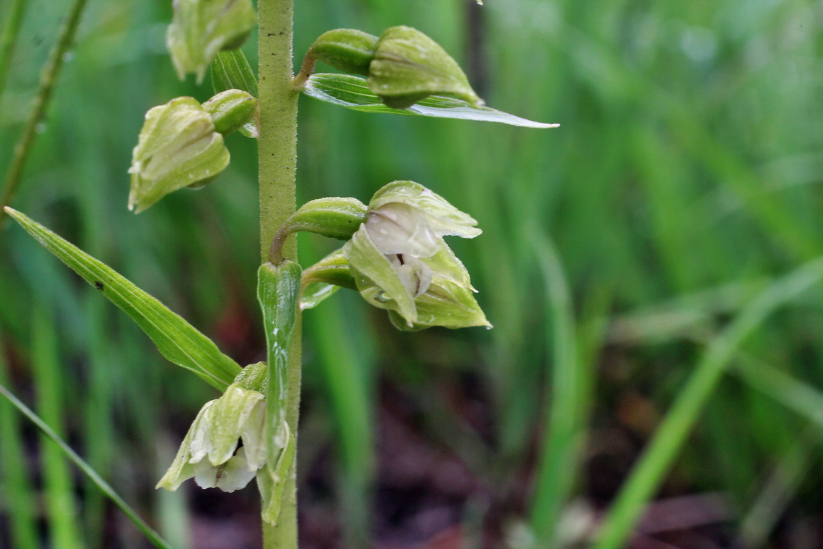 2014_07_21_00003157p_Bildgr��e �ndern