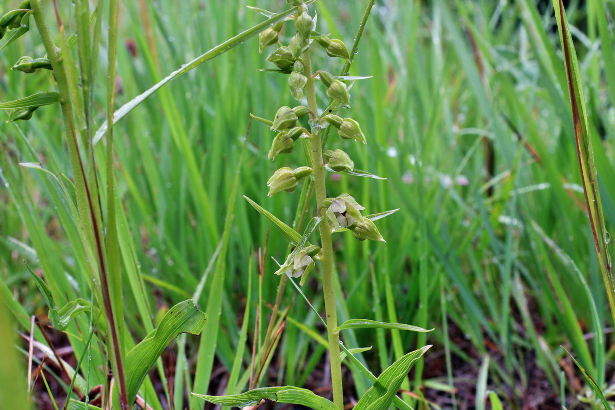 2014_07_21_00003161p_Bildgr��e �ndern