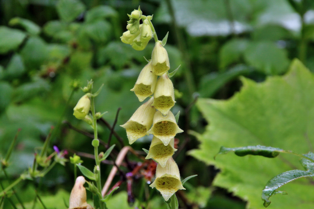 2014_07_21_00003173p_Bildgr��e �ndern