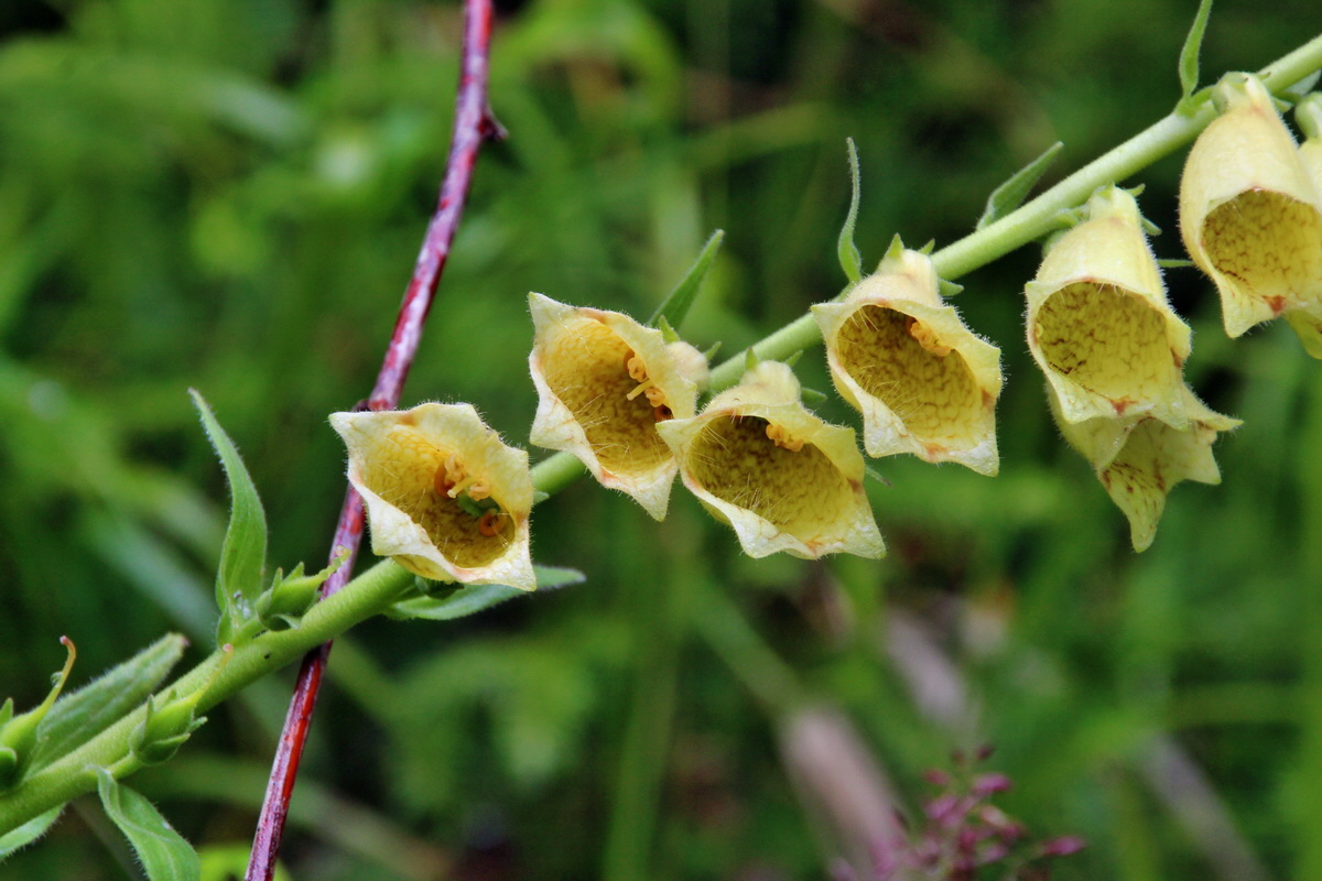 2014_07_21_00003176p_Bildgr��e �ndern