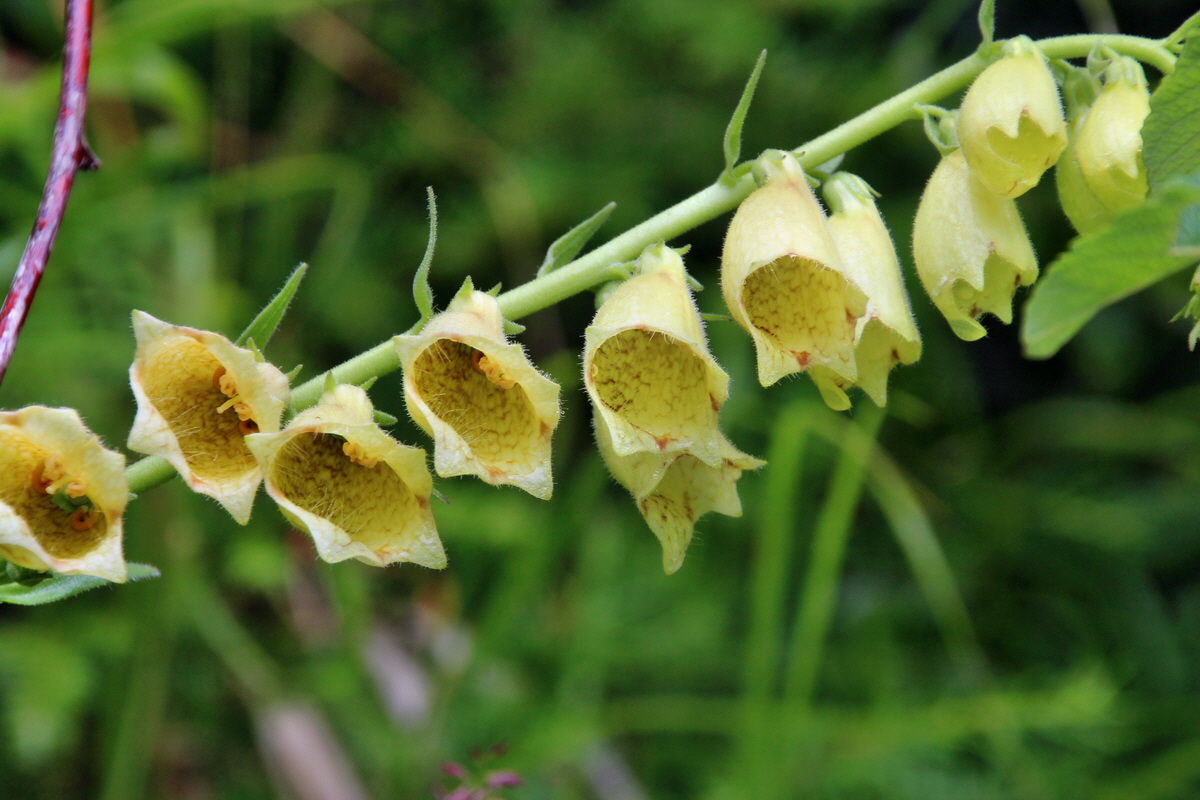 2014_07_21_00003179p_Bildgr��e �ndern