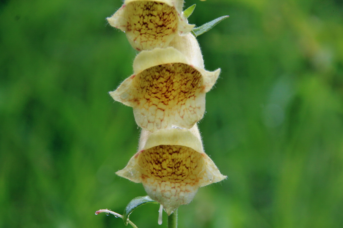 2014_07_21_00003182p_Bildgr��e �ndern