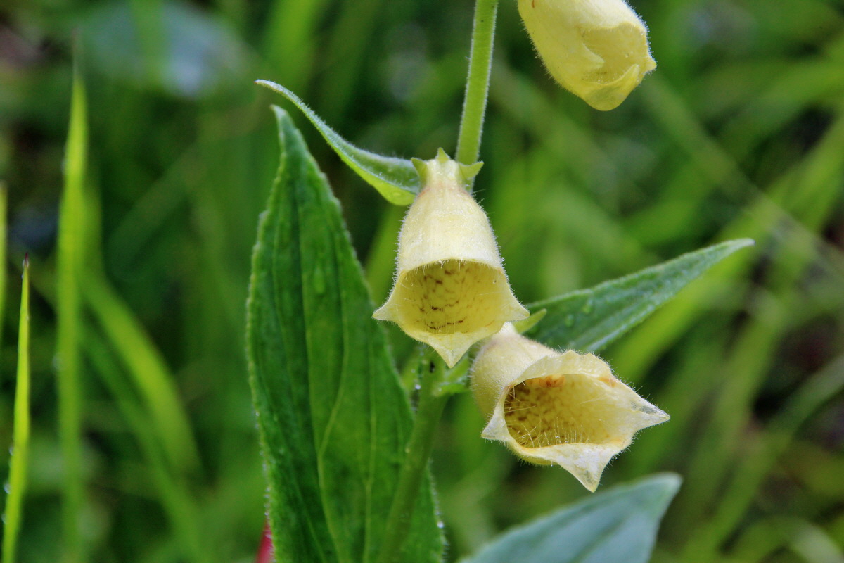 2014_07_21_00003187p_Bildgr��e �ndern