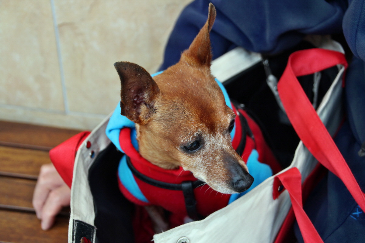 2014_07_22_00003219p_Bildgr��e �ndern