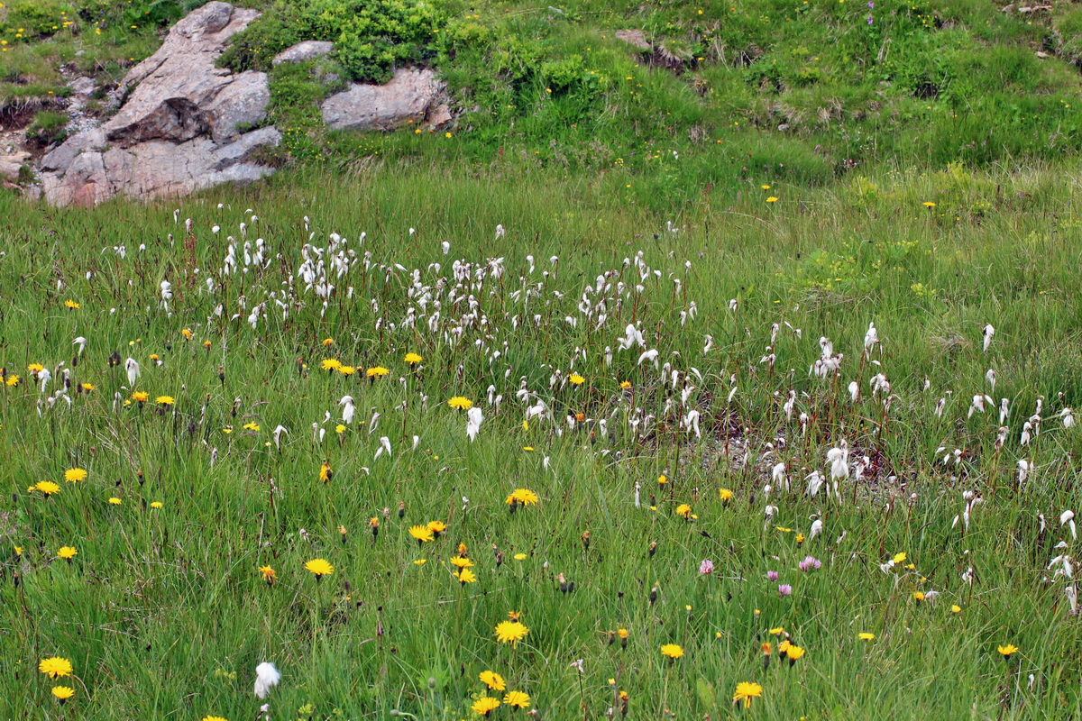 2014_07_22_00003260p_Bildgr��e �ndern