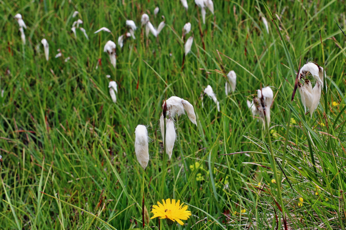 2014_07_22_00003264p_Bildgr��e �ndern