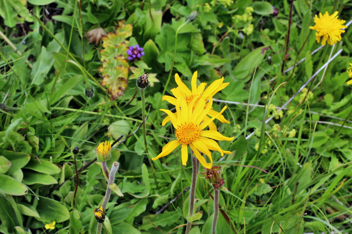 2014_07_22_00003266p_Bildgr��e �ndern