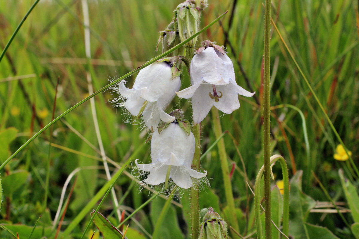 2014_07_22_00003271p_Bildgr��e �ndern