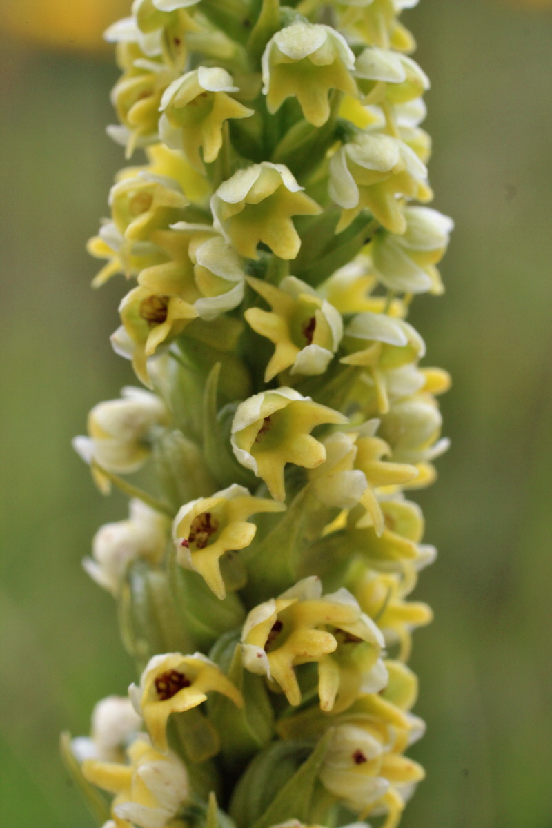 2014_07_22_00003280p_Bildgr��e �ndern