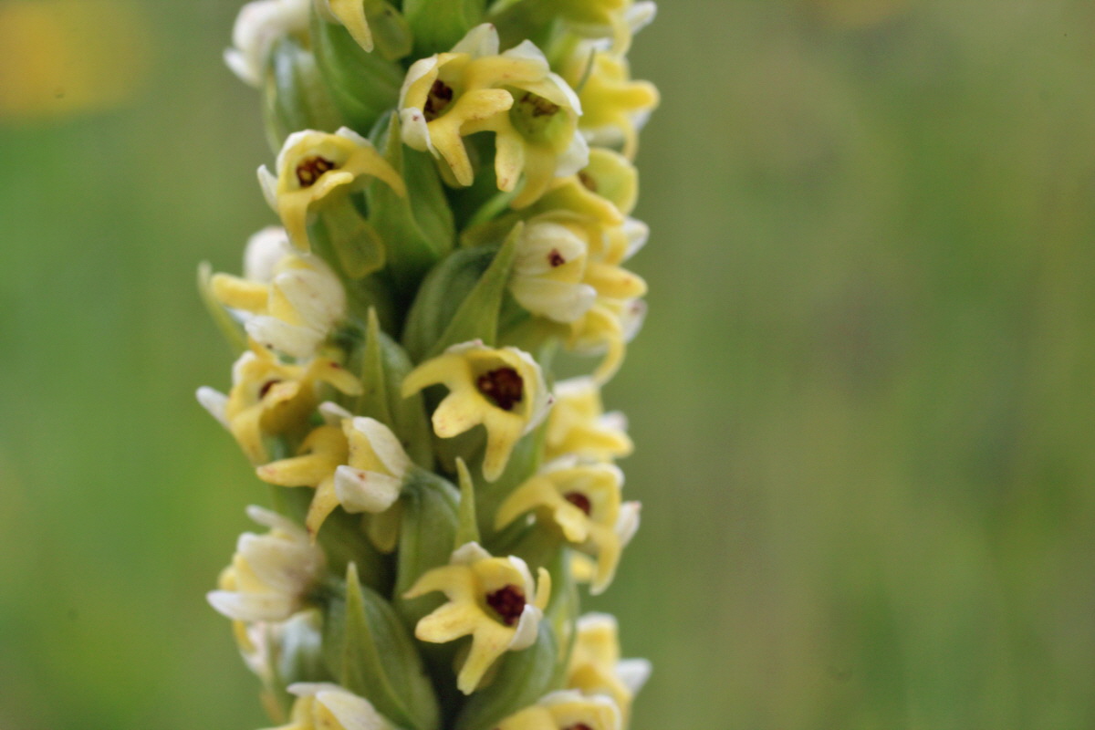 2014_07_22_00003288p_Bildgr��e �ndern