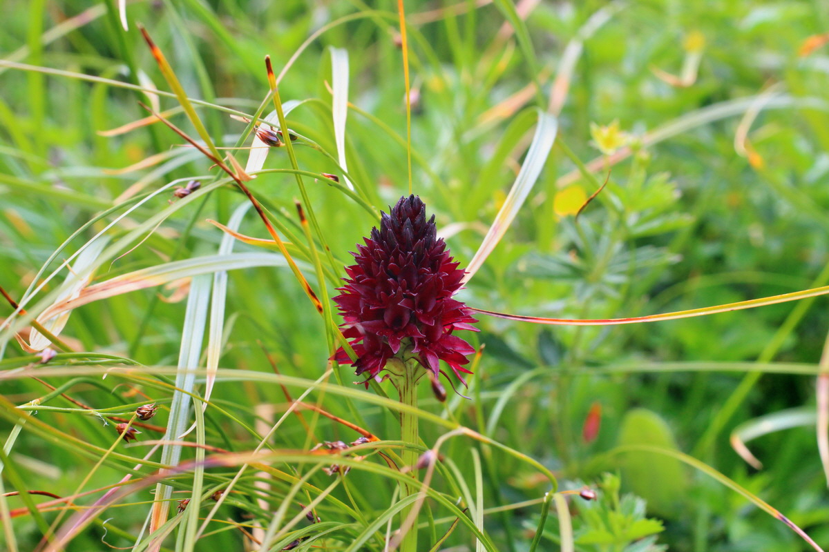 2014_07_22_00003291p_Bildgr��e �ndern