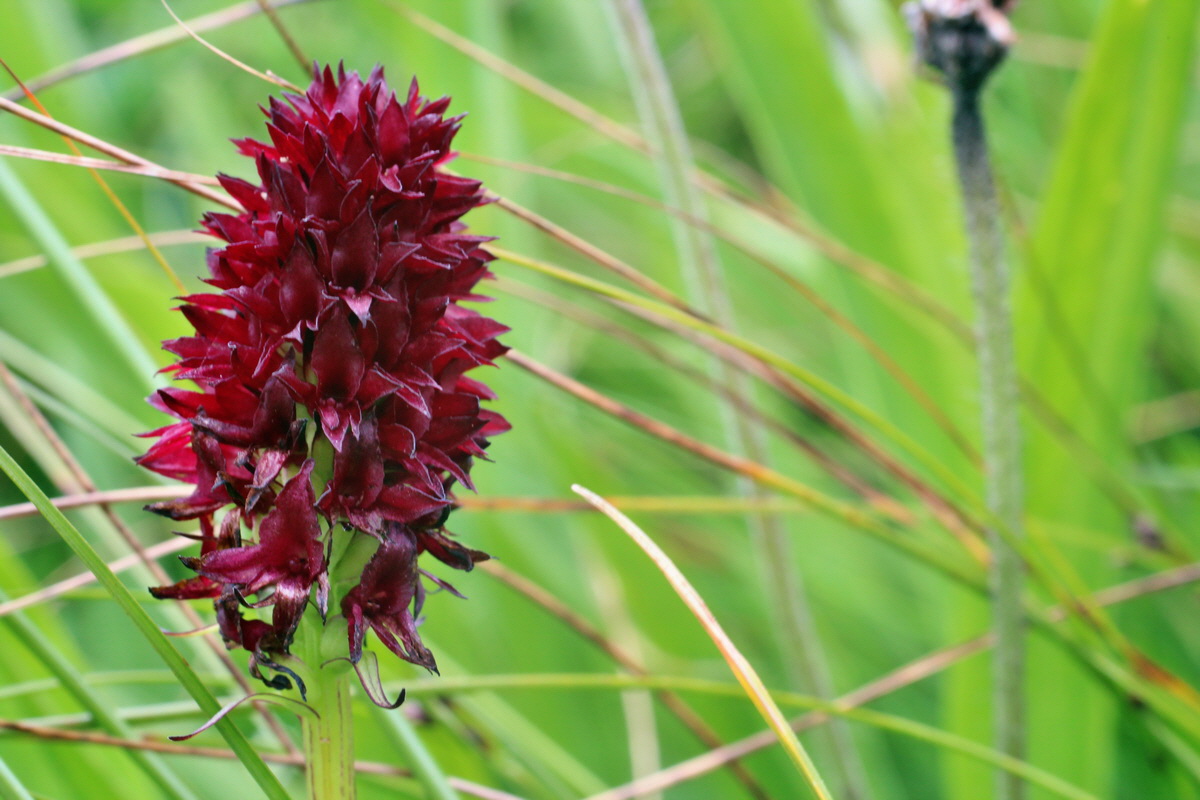 2014_07_22_00003294p_Bildgr��e �ndern