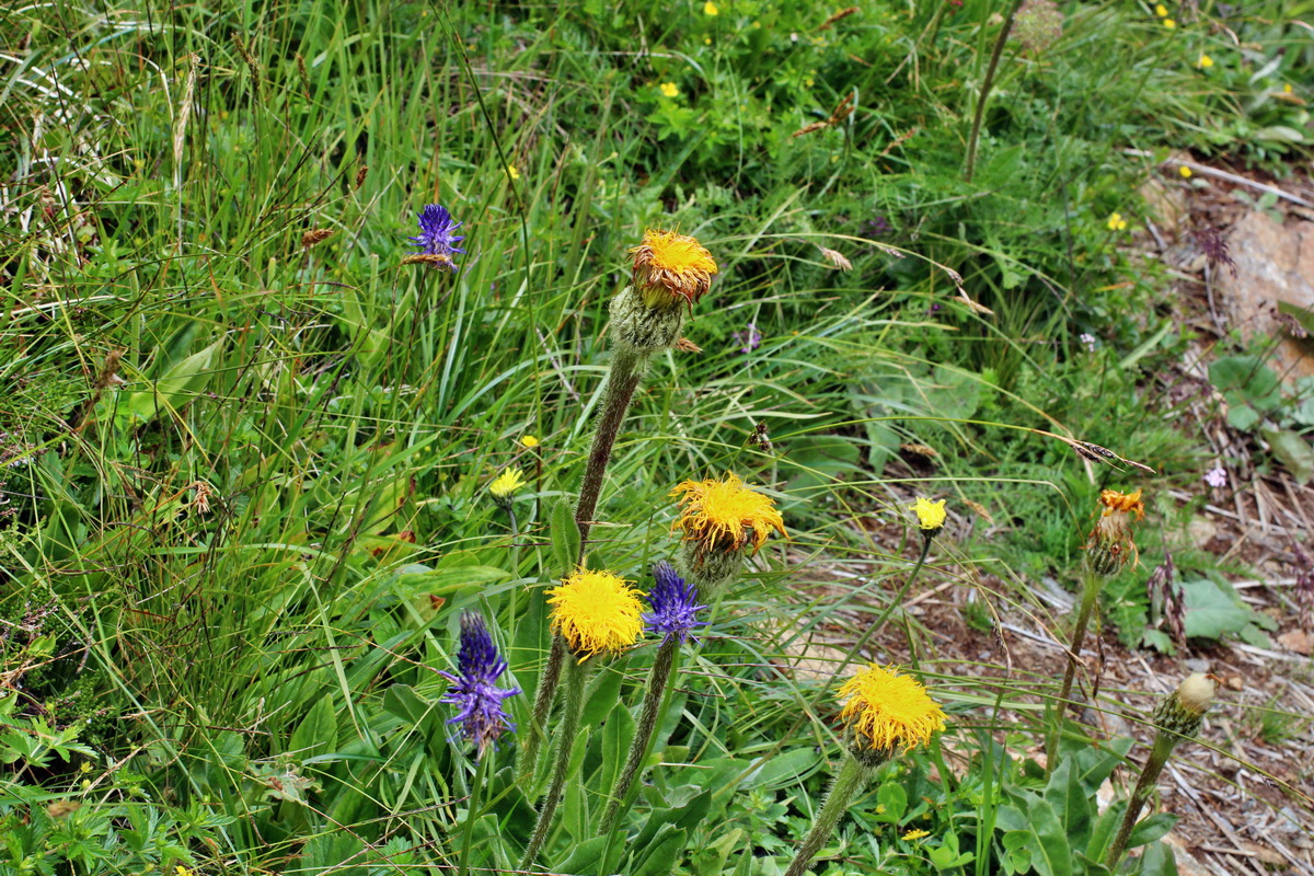 2014_07_22_00003305p_Bildgr��e �ndern