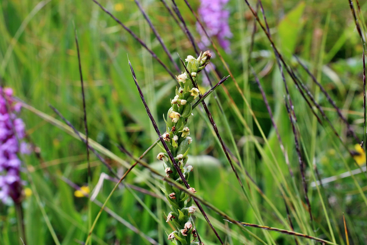 2014_07_22_00003308p_Bildgr��e �ndern