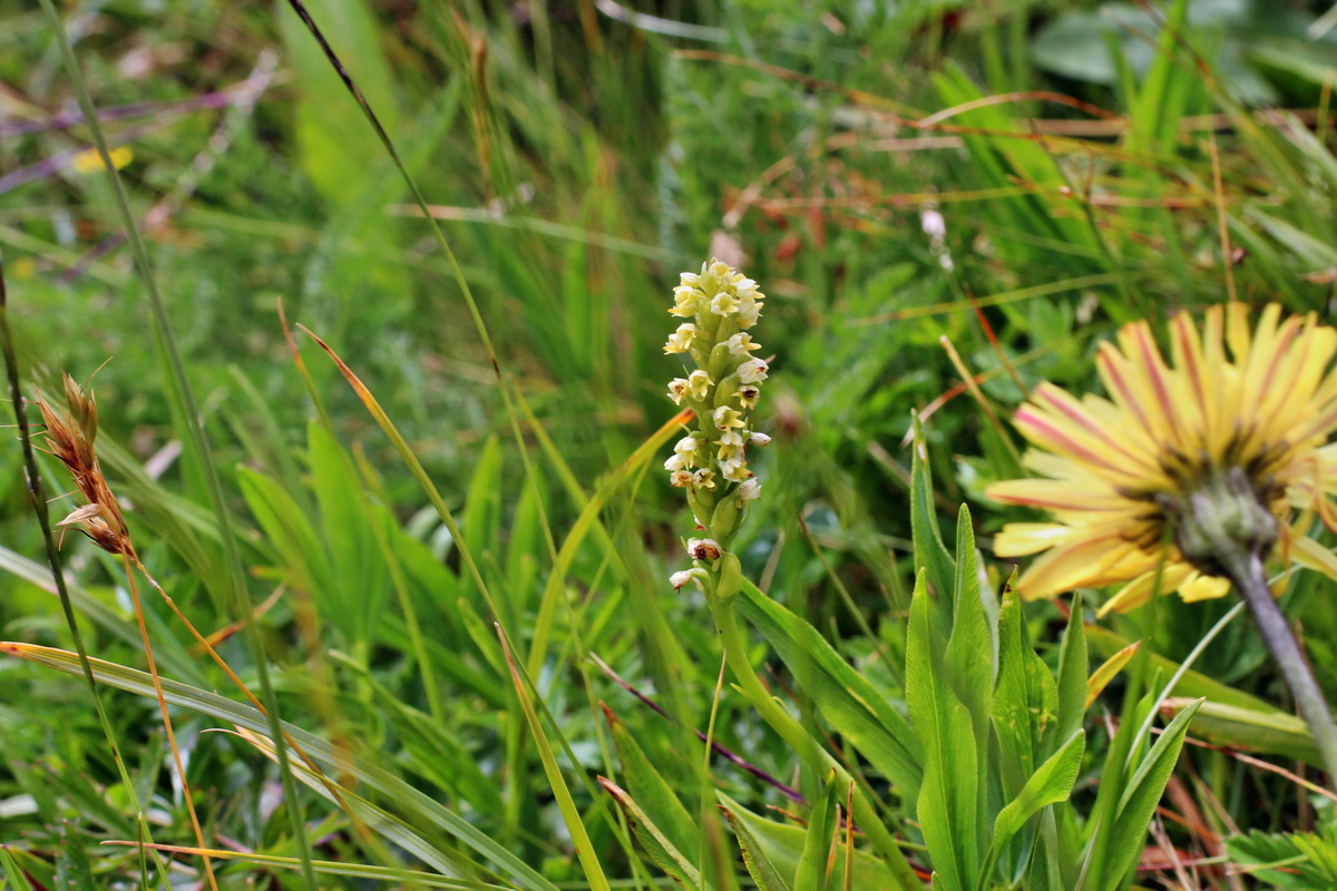 2014_07_22_00003313p_Bildgr��e �ndern