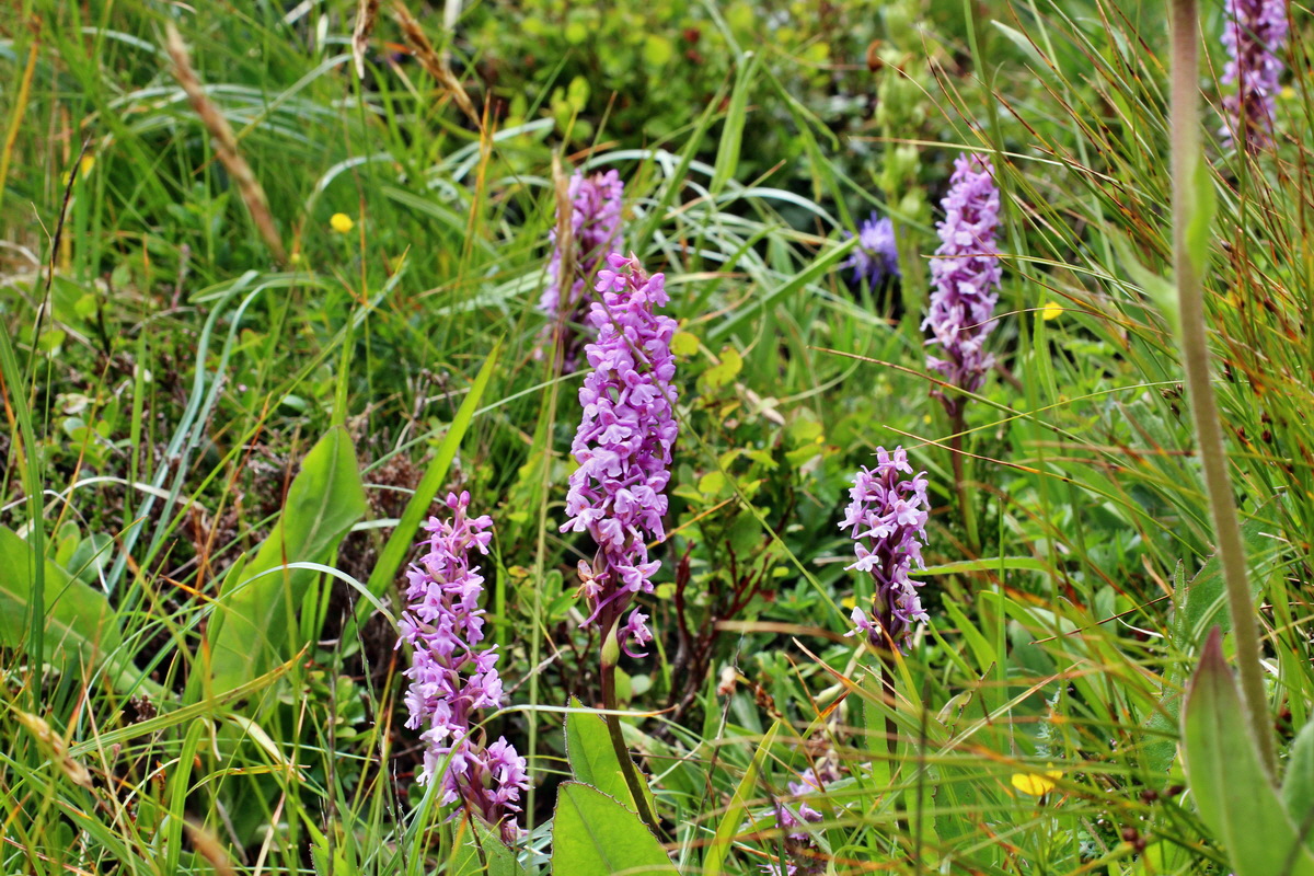 2014_07_22_00003315p_Bildgr��e �ndern