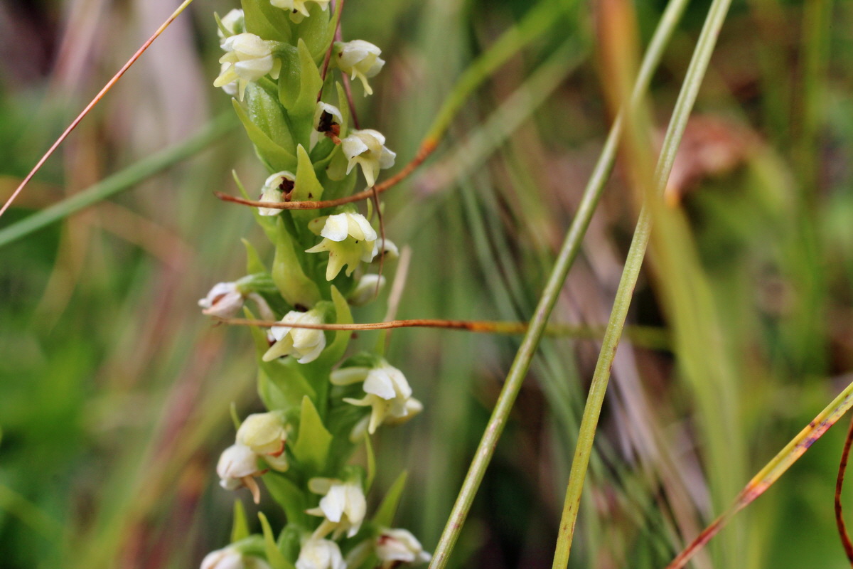 2014_07_22_00003318p_Bildgr��e �ndern