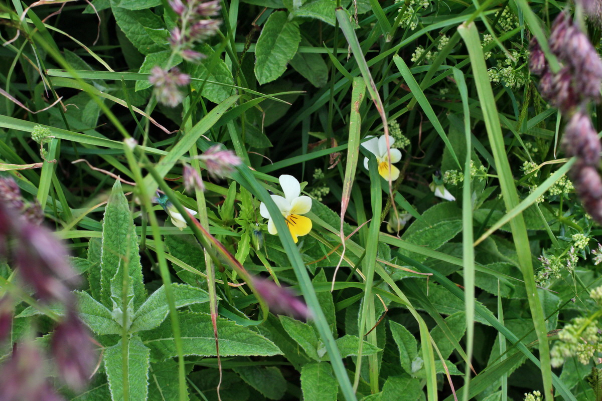 2014_07_22_00003334p_Bildgr��e �ndern