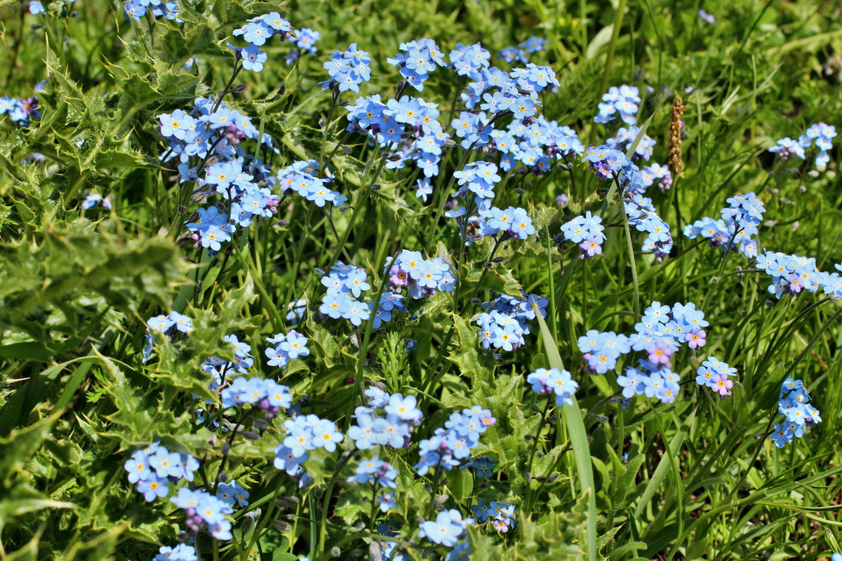 2014_07_23_00003724p_Bildgr��e �ndern