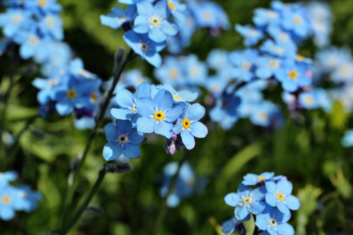 2014_07_23_00003726p_Bildgr��e �ndern