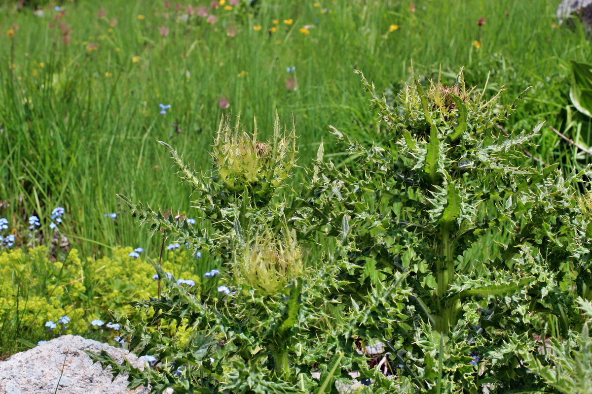 2014_07_23_00003729p_Bildgr��e �ndern