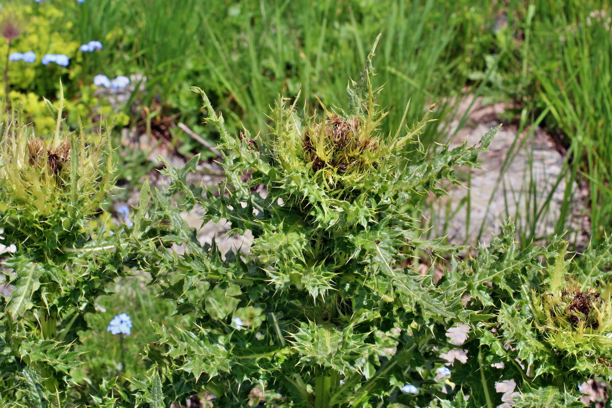 2014_07_23_00003732p_Bildgr��e �ndern