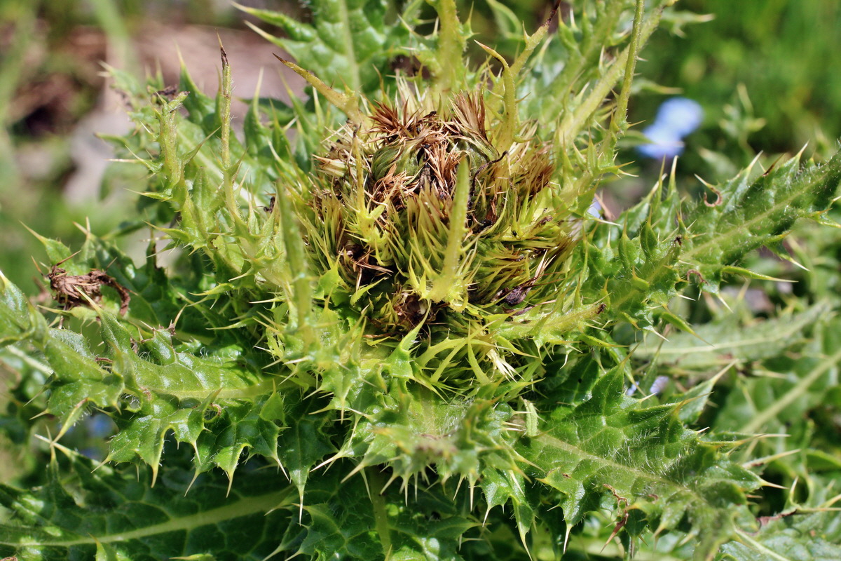 2014_07_23_00003735p_Bildgr��e �ndern