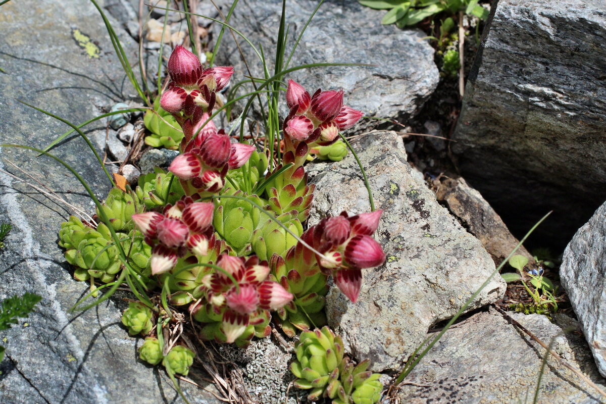 2014_07_23_00003740p_Bildgr��e �ndern